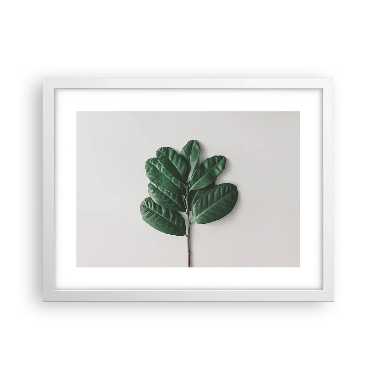 Affiche dans un cadre blanc - Poster - Dessin de la nature elle-même - 40x30 cm