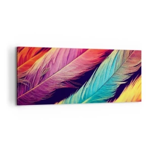 Impression sur toile - Image sur toile - Arc-en-ciel de plumes - 100x40 cm