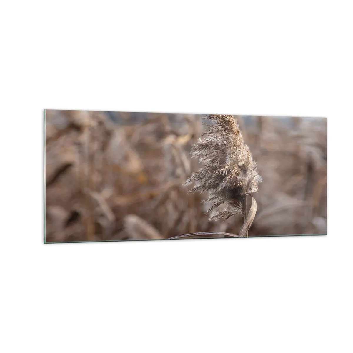 Impression sur verre - Image sur verre - Il est temps de s'envoler avec le vent - 100x40 cm