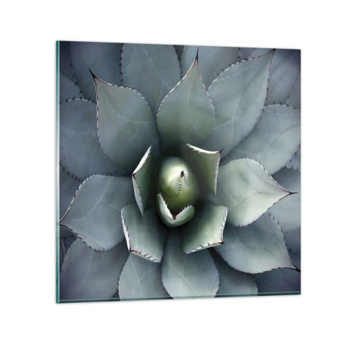 Impression sur verre - Image sur verre - Wabi et observe - 30x30 cm