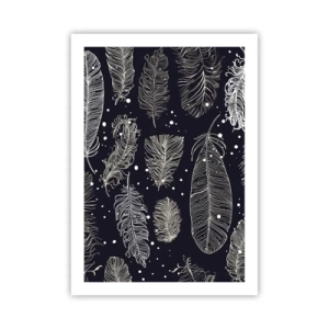 Affiche - Poster - Plumes blanches sur fond noir dans un arrangement élégant - 50x70cm - Toile de plumes - Décoration murale moderne pour le salon et la chambre ARTTOR