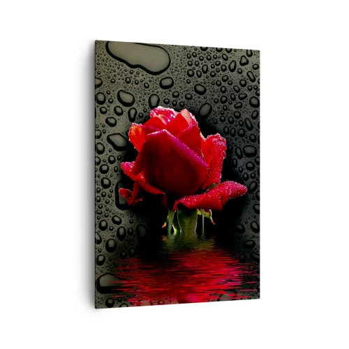 Impression sur toile - Image sur toile - Rose rouge avec des gouttes d'eau sur un fond sombre - 70x100cm - Rouge et noir - Décoration murale moderne pour le salon et la chambre ARTTOR