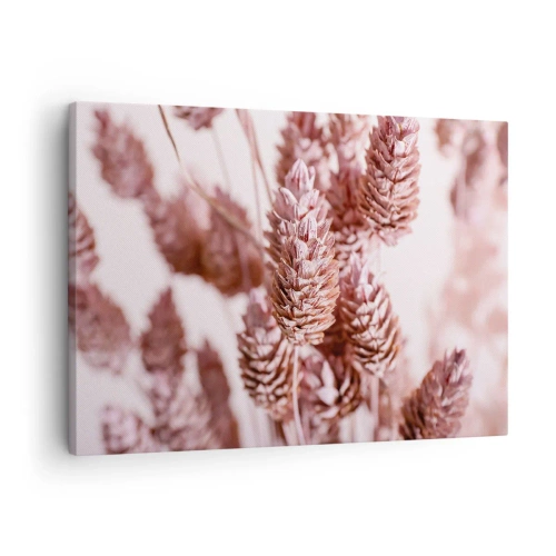 Impression sur toile - Image sur toile - Gros plan sur les délicats épis roses des graminées ornementales - 70x50cm - Apparemment discret - Décoration murale moderne pour le salon et la chambre ARTTOR