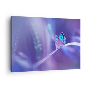Impression sur toile - Image sur toile - Un délicat papillon bleu sur une tige dans une lumière violette - 70x50cm - Un joyau de la nature - Décoration murale moderne pour le salon et la chambre ARTTOR