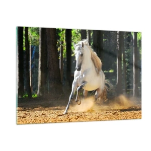 Impression sur verre - Image sur verre - Un cheval blanc galope sur un sol sablonneux dans la forêt - 120x80cm - Comme dans un roman fantastique - Décoration murale moderne pour le salon et la chambre ARTTOR