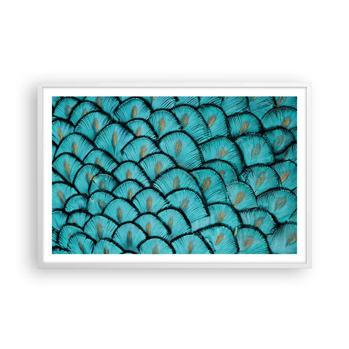 Affiche dans un cadre blanc - Poster - Le grand gala des plumes - 91x61 cm