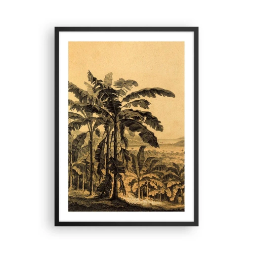 Affiche dans un cadre noir - Poster - Illustration de palmiers sur fond de paysage tropical - 50x70cm - Dans un climat colonial - Décoration murale moderne pour le salon et la chambre ARTTOR