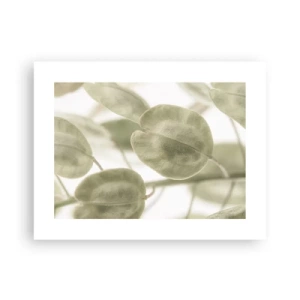 Affiche - Poster - Au commencement il y avait des feuilles... - 40x30 cm