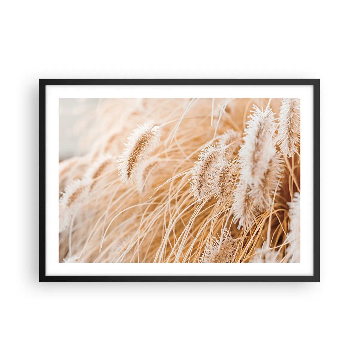 Affiche dans un cadre noir - Poster - Gros plan d'herbes dorées et délicates au soleil - 70x50cm - Le bruissement doré de l'herbe - Décoration murale moderne pour le salon et la chambre ARTTOR