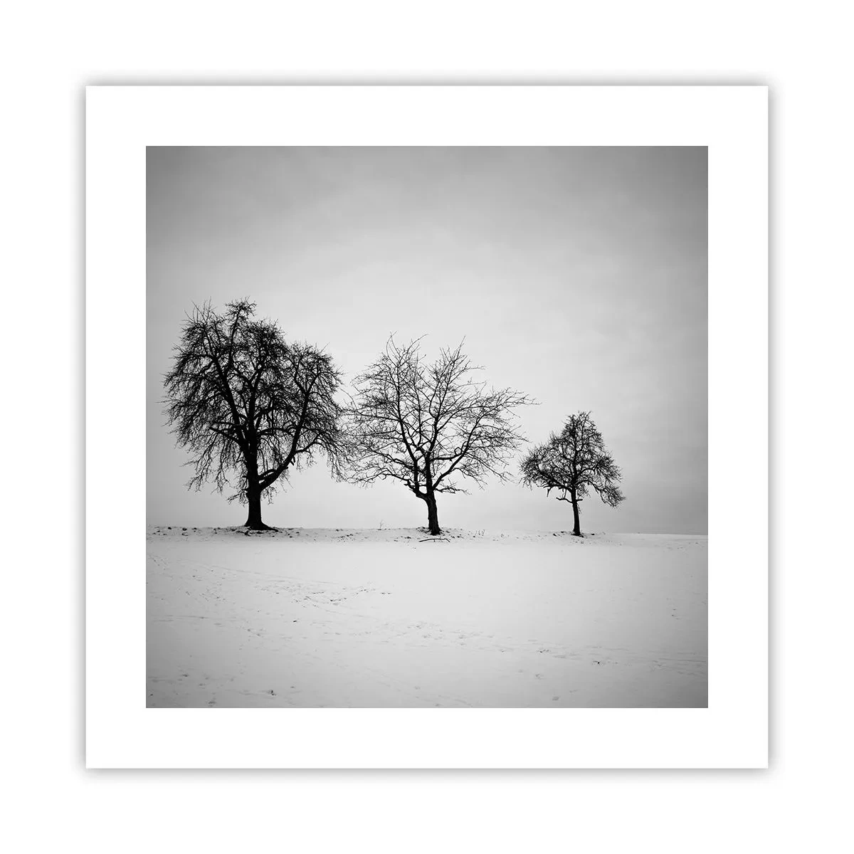 Affiche - Poster - A quoi rêvent-ils? - 40x40 cm