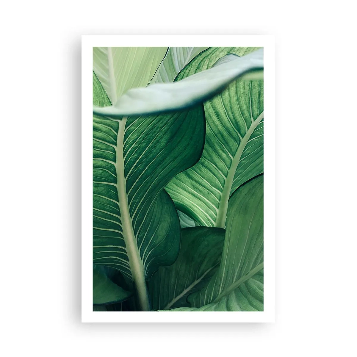 Affiche - Poster - Une vie intensément verte - 61x91 cm