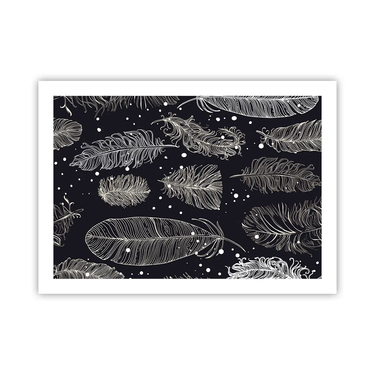 Affiche - Poster - Toile de plumes - 70x50 cm