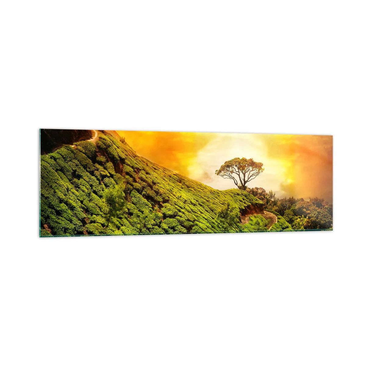 Impression sur verre - Image sur verre - Collines verdoyantes de plantations de thé au coucher du soleil - 160x50cm - Un chemin sinueux, une pente verte - Décoration murale moderne pour le salon et la chambre ARTTOR