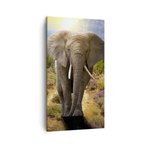 Impression sur toile - Image sur toile - Voilà à quoi ressemblait l'Eden - 45x80 cm