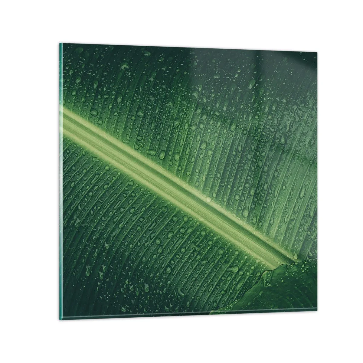 Impression sur verre - Image sur verre - Structure de vert - 60x60 cm