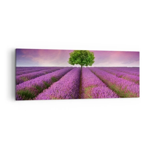 Impression sur toile - Image sur toile - Un champ de lavande avec un arbre solitaire et un ciel violet - 140x50cm - Dans un champs de lavande - Décoration murale moderne pour le salon et la chambre ARTTOR