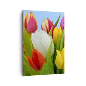 Impression sur toile - Image sur toile - Tulipes colorées couvertes de gouttes de rosée sur fond bleu - 50x70cm - Un arc-en-ciel fleuri en gouttes de rosée - Décoration murale moderne pour le salon et la chambre ARTTOR