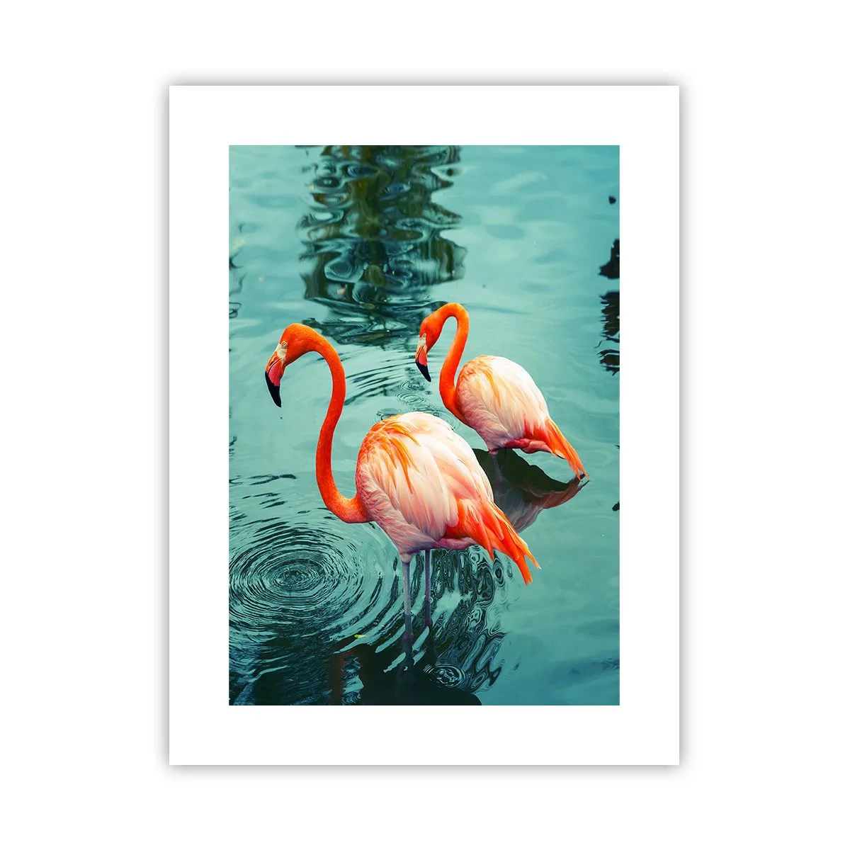 Affiche - Poster - Nous sommes à la mode maintenant - 30x40 cm