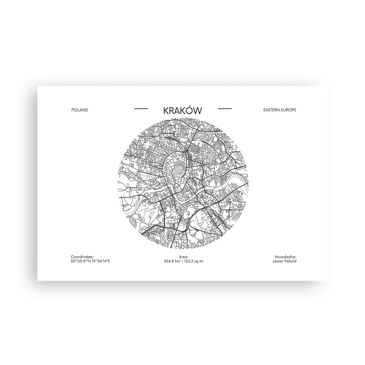 Affiche - Poster - Anatomie de Cracovie - 91x61 cm