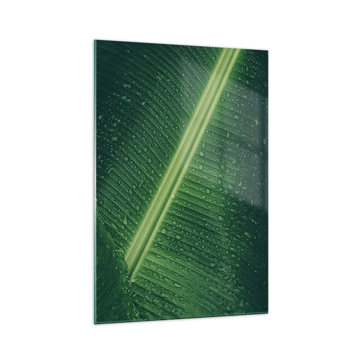 Impression sur verre - Image sur verre - Une feuille verte avec des gouttes d'eau à sa surface - 70x100cm - Structure de vert - Décoration murale moderne pour le salon et la chambre ARTTOR