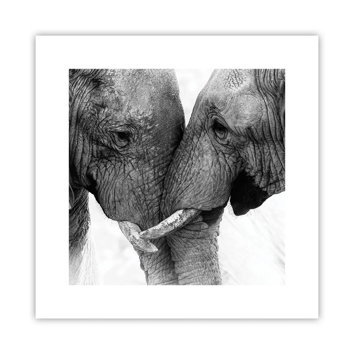 Affiche - Poster - Confession sincère - 30x30 cm