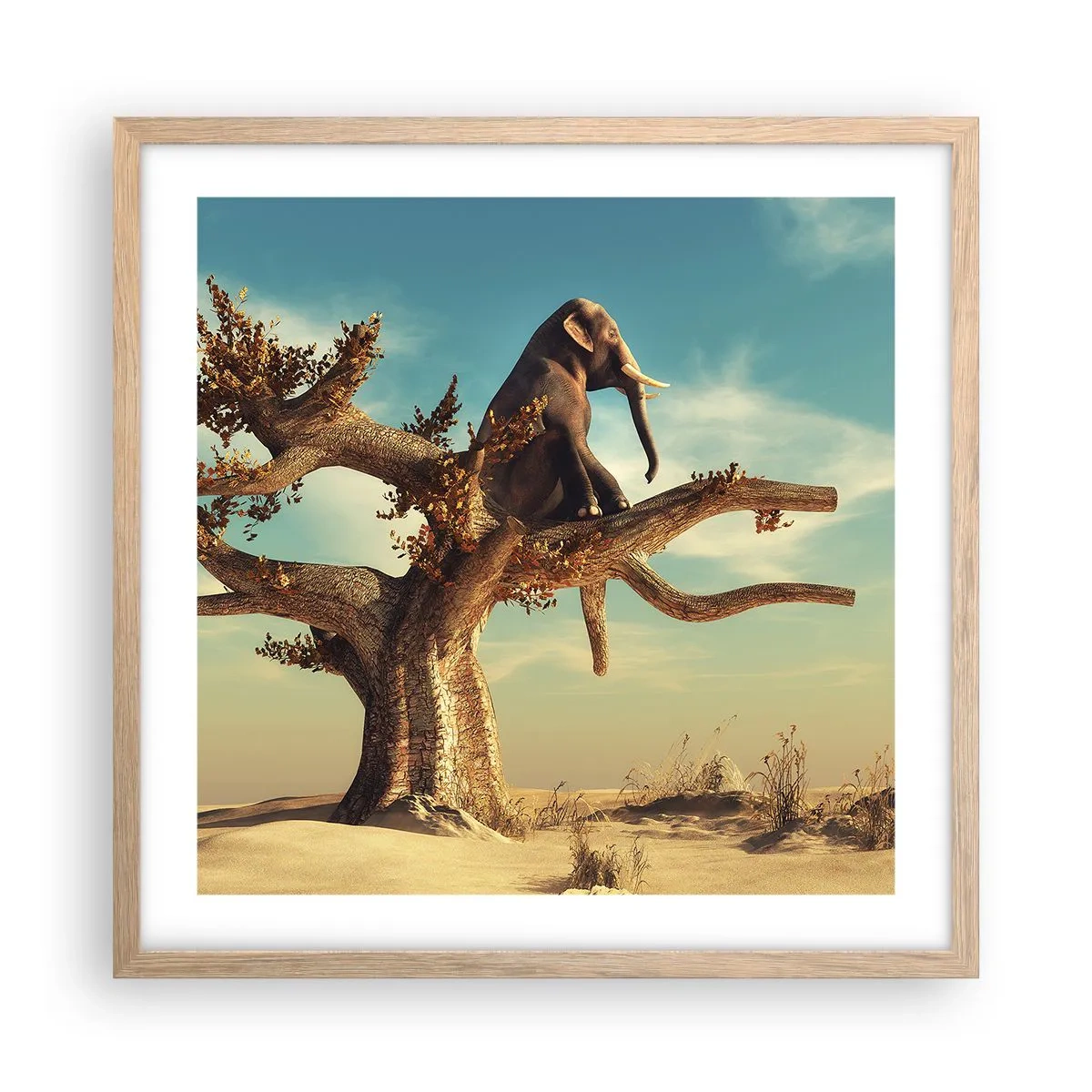 Affiche dans un chêne clair - Poster - Nouveau point de vue - 50x50 cm