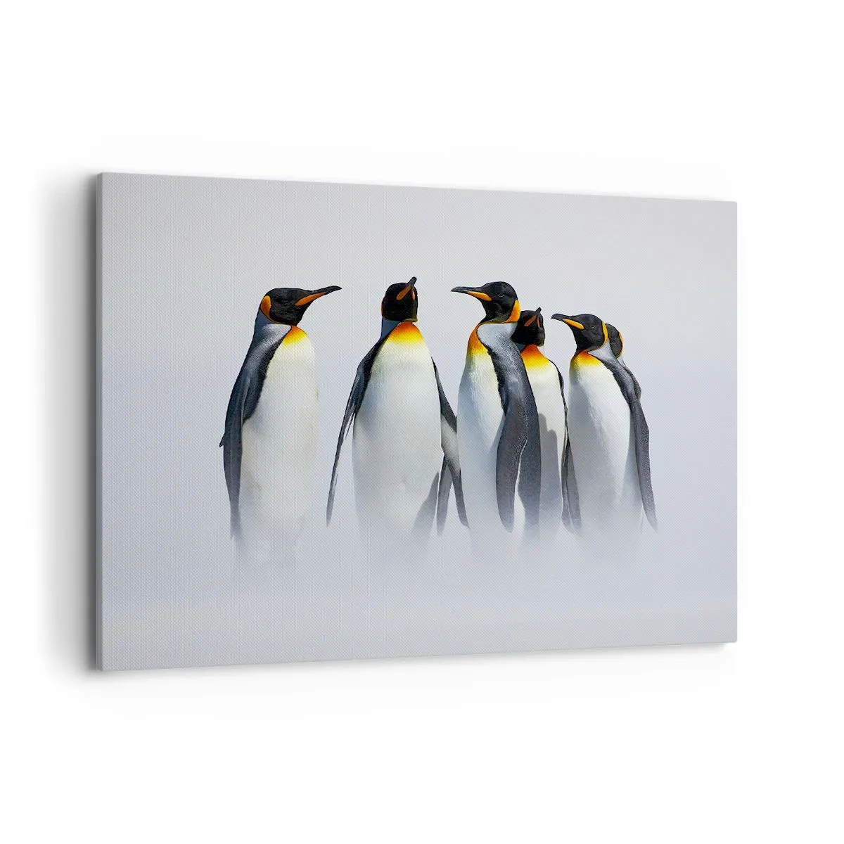 Impression sur toile - Image sur toile - Un groupe de manchots empereurs dans le brouillard hivernal - 120x80cm - Rencontre en robes de soirée - Décoration murale moderne pour le salon et la chambre ARTTOR