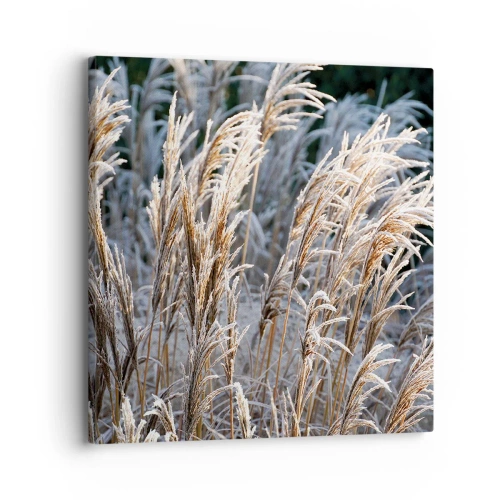 Impression sur toile - Image sur toile - Habillé de givre - 30x30 cm