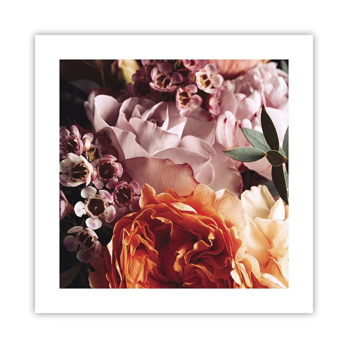 Affiche - Poster - Enveloppé de beauté - 40x40 cm