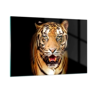 Impression sur verre - Image sur verre - Un tigre sur fond sombre avec un regard intense - 120x80cm - Le coeur sauvageon - Décoration murale moderne pour le salon et la chambre ARTTOR