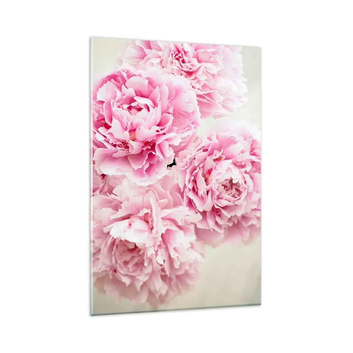 Impression sur verre - Image sur verre - Un bouquet de pivoines roses sur fond clair - 80x120cm - En glamour rose - Décoration murale moderne pour le salon et la chambre ARTTOR