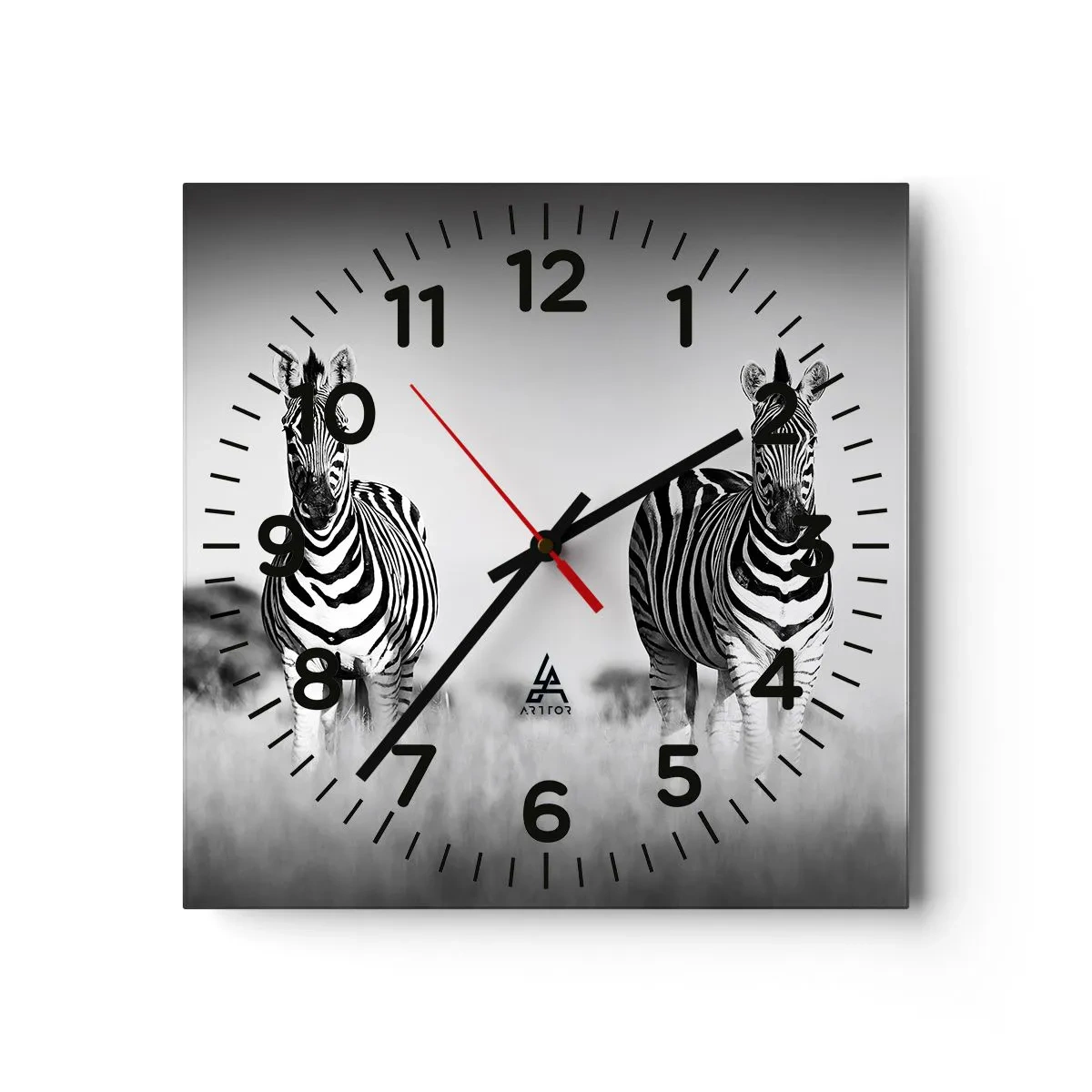Horloge murale - Pendule murale - Le monde est bel et bien noir et blanc - 30x30 cm