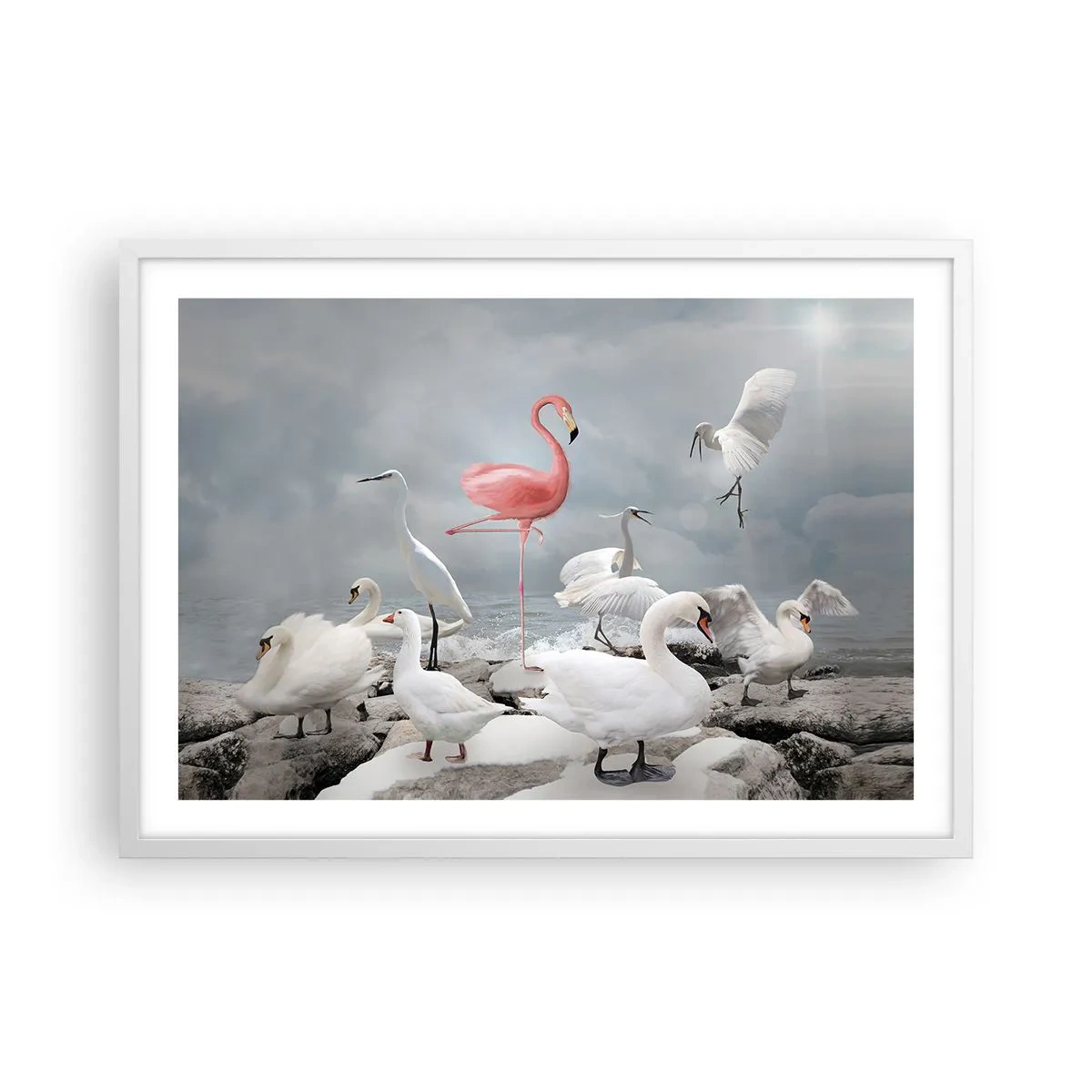 Affiche dans un cadre blanc - Poster - Comment suis-je arrivé là? - 70x50 cm