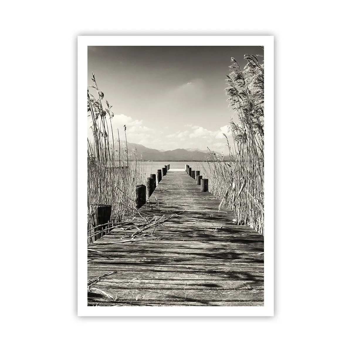 Affiche - Poster - Dans le calme de l'herbe - 70x100 cm