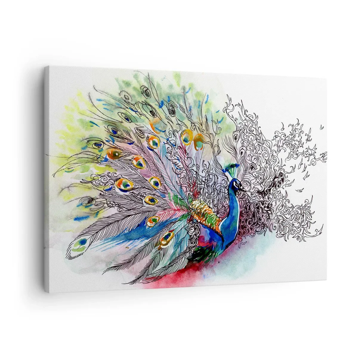 Impression sur toile - Image sur toile - Un paon dans un style aquarelle coloré avec des plumes abstraites - 70x50cm - Avec fierté contre la grisaille - Décoration murale moderne pour le salon et la chambre ARTTOR
