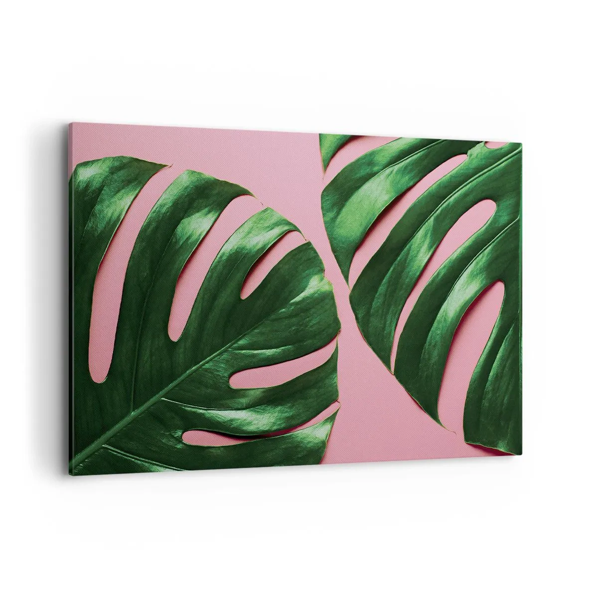 Impression sur toile - Image sur toile - Feuilles de monstera vertes sur fond rose - 120x80cm - Rendez-vous vert - Décoration murale moderne pour le salon et la chambre ARTTOR