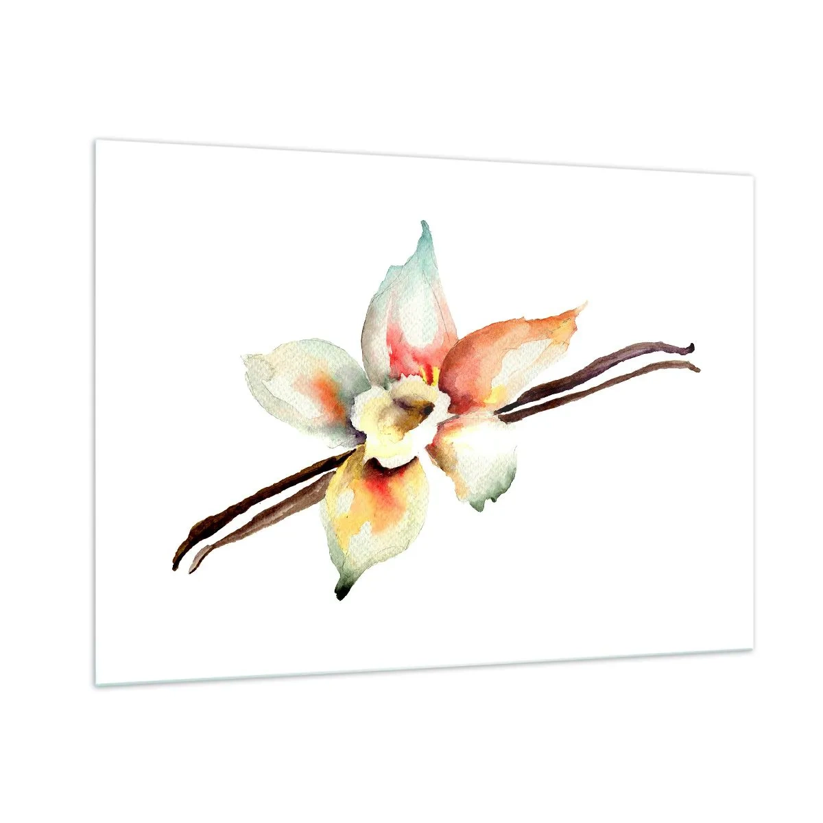 Impression sur verre - Image sur verre - Illustration à l'aquarelle d'une fleur de vanille sur fond blanc - 100x70cm - Douceur de couleur renversée - Décoration murale moderne pour le salon et la chambre ARTTOR