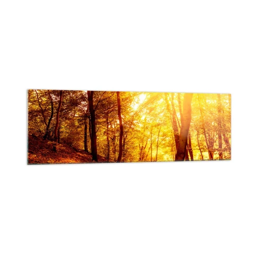 Impression sur verre - Image sur verre - Clairière d'automne sous le soleil doré avec un sentier forestier - 160x50cm - Vers la clairière dorée - Décoration murale moderne pour le salon et la chambre ARTTOR