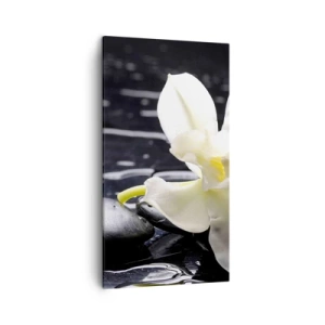 Impression sur toile - Image sur toile - Étude en noir et blanc - 45x80 cm