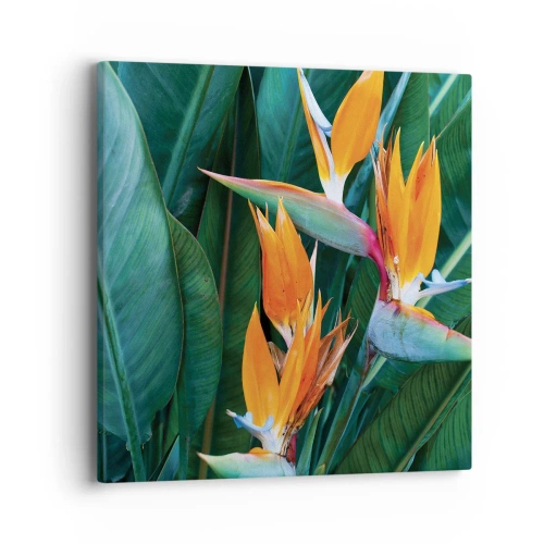 Impression sur toile - Image sur toile - Est-ce une fleur, est-ce un oiseaux? - 40x40 cm
