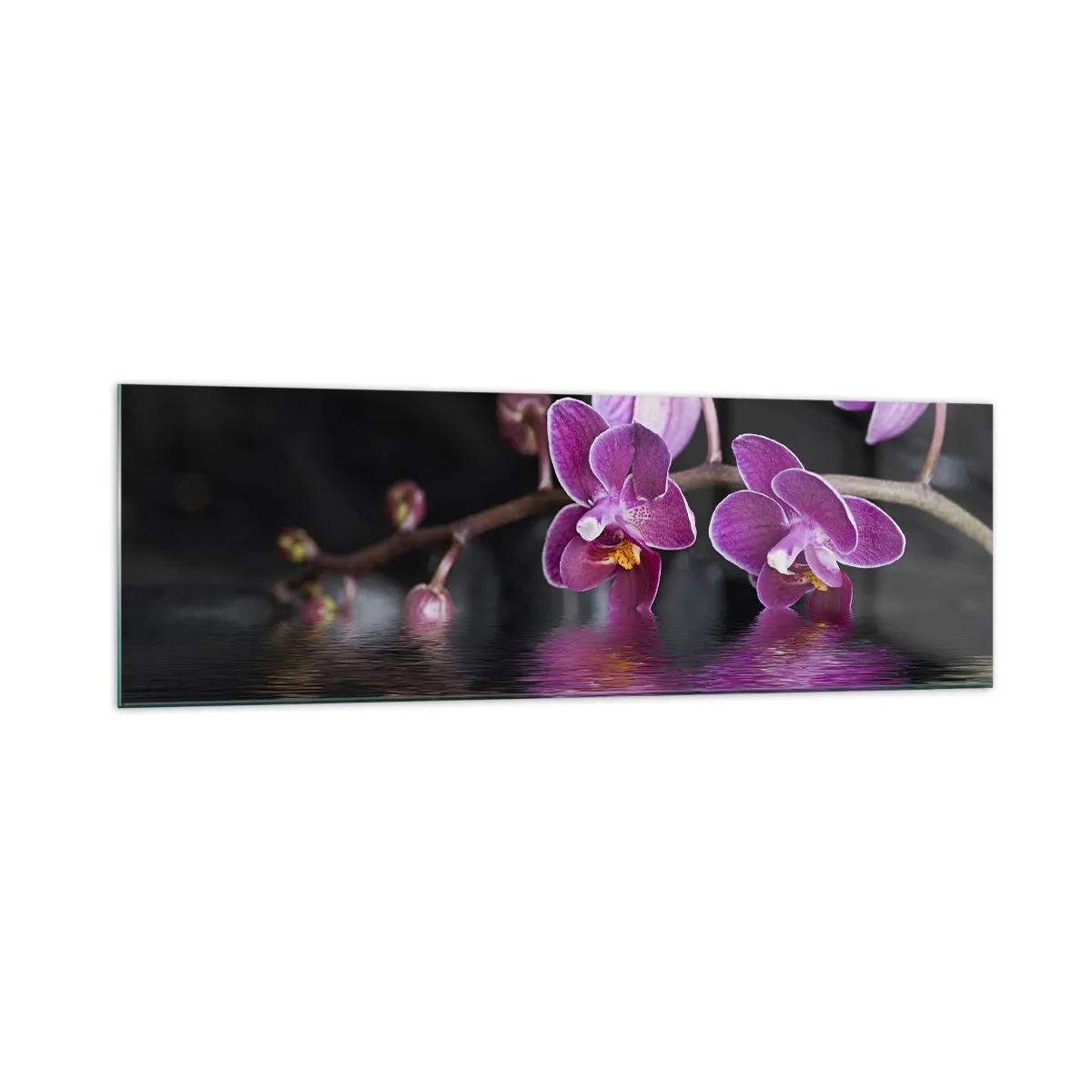 Impression sur verre - Image sur verre - Orchidées violettes sur une eau calme sur fond noir - 160x50cm - Reflet lilas de la beauté - Décoration murale moderne pour le salon et la chambre ARTTOR