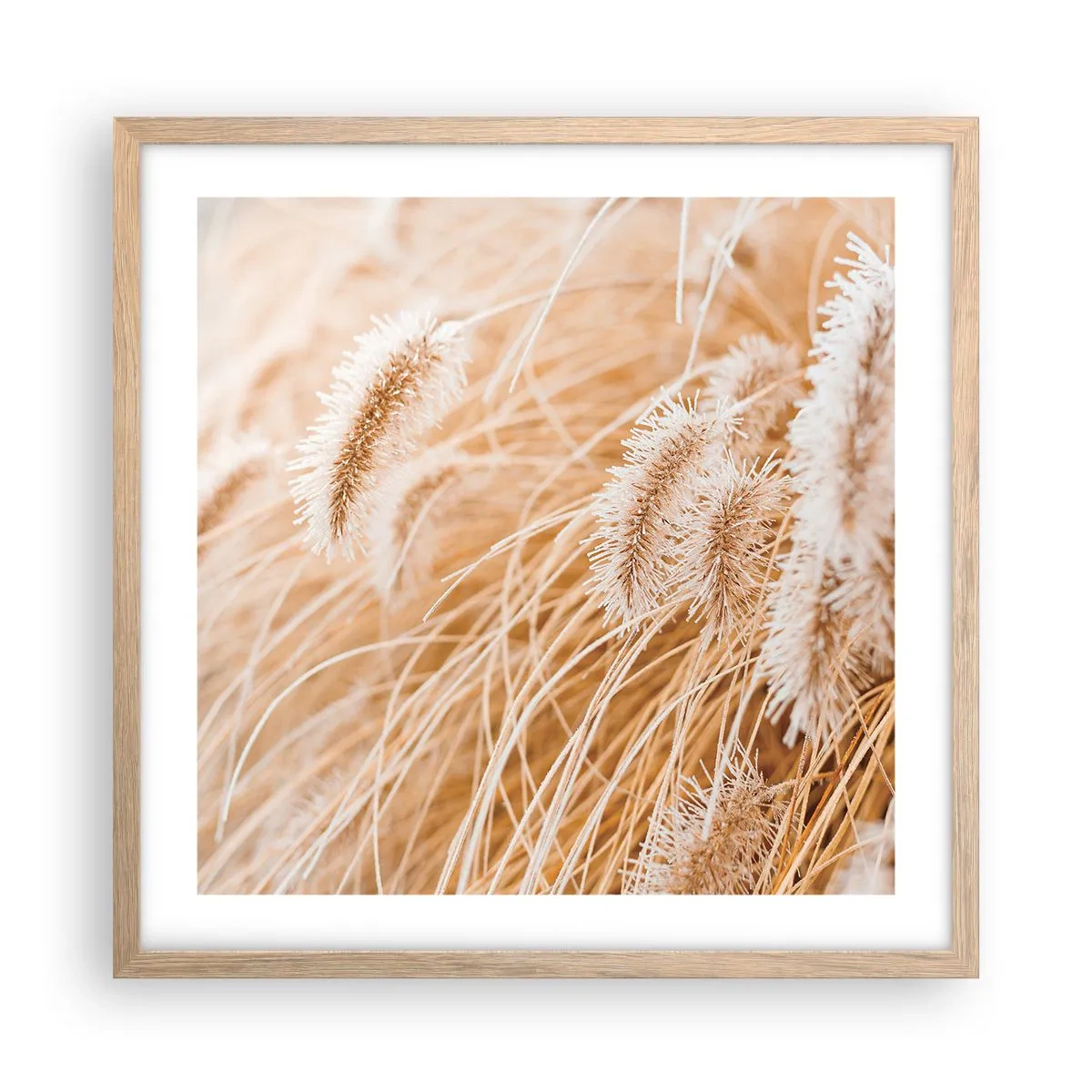 Affiche dans un chêne clair - Poster - Le bruissement doré de l'herbe - 50x50 cm