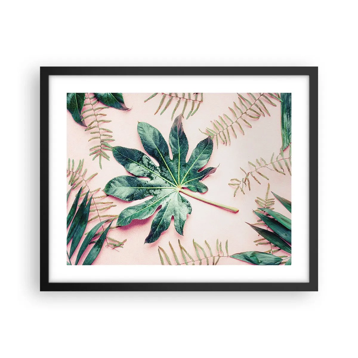 Affiche dans un cadre noir - Poster - Étude de verdure sur fond rose - 50x40 cm