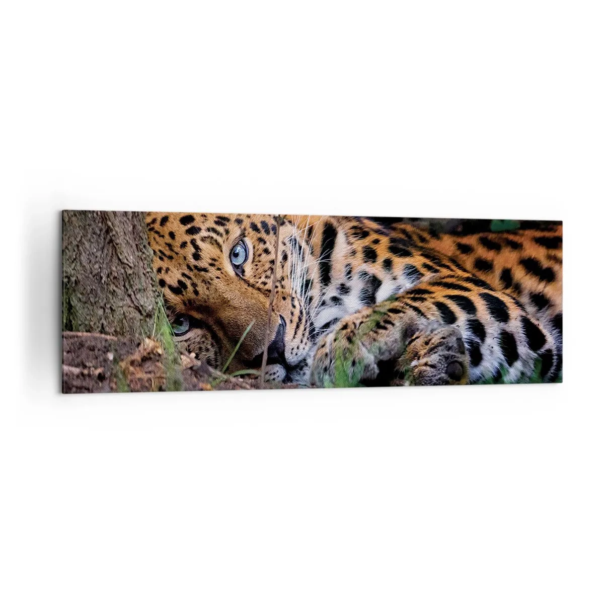 Impression sur toile - Image sur toile - Un léopard couché à l'ombre des arbres - 160x50cm - Fais-moi confiance - Décoration murale moderne pour le salon et la chambre ARTTOR