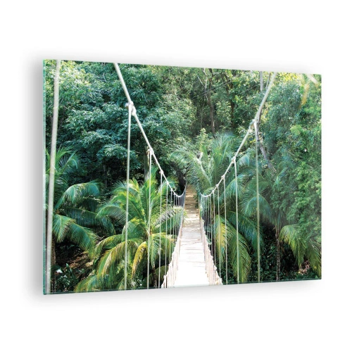 Impression sur verre - Image sur verre - Pont suspendu dans une forêt tropicale - 70x50cm - Welcome to the jungle! - Décoration murale moderne pour le salon et la chambre ARTTOR