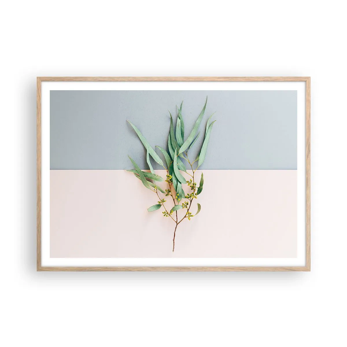 Affiche dans un chêne clair - Poster - Subtilité pastel - 100x70 cm