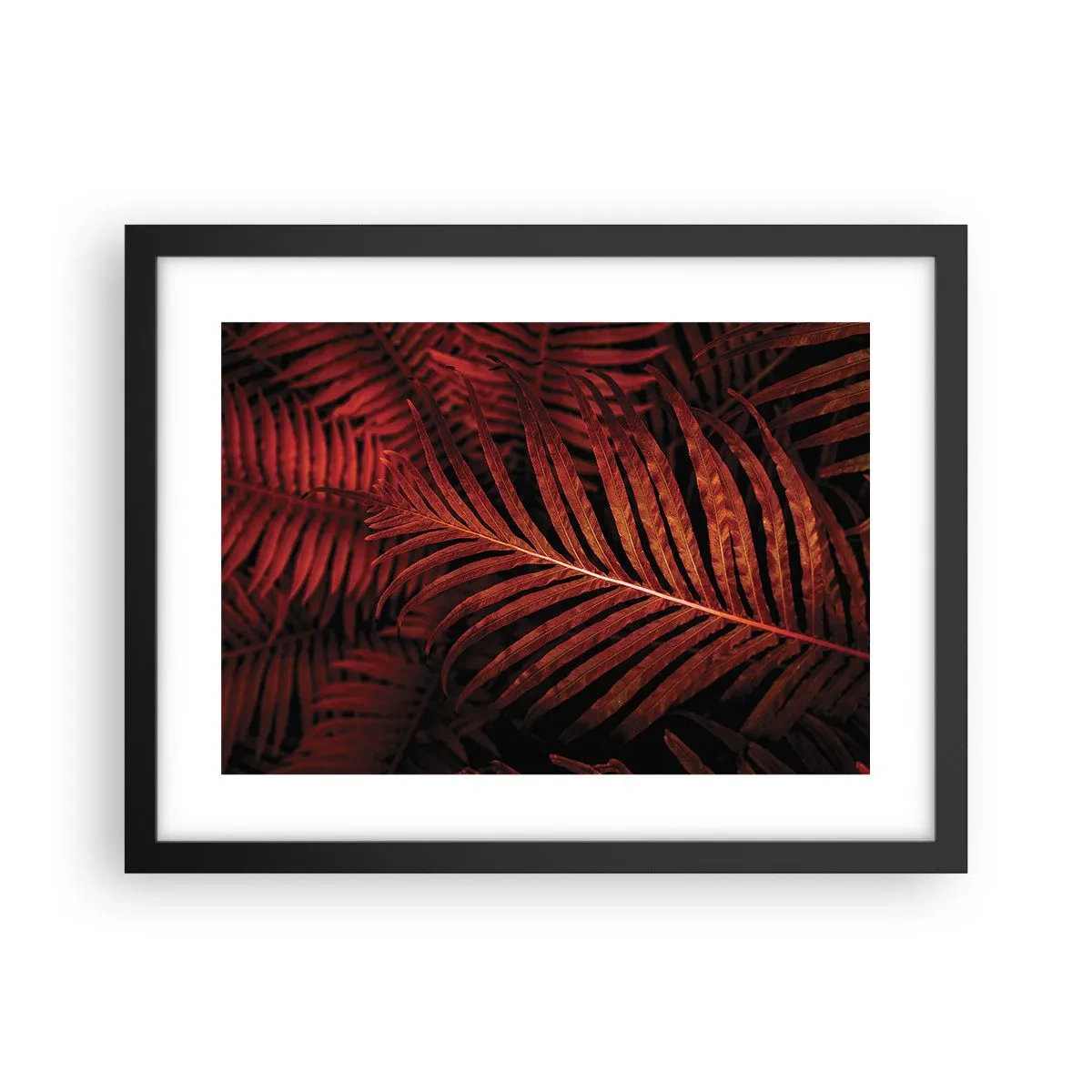 Affiche dans un cadre noir - Poster - Chaleur de la vie - 40x30 cm