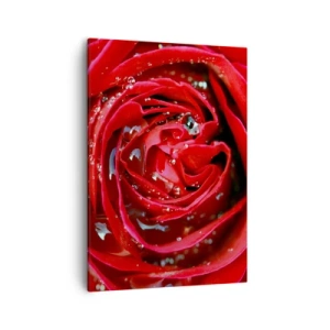 Impression sur toile - Image sur toile - Gros plan d'une rose rouge avec des gouttes d'eau sur les pétales - 50x70cm - Dans les gouttes de rosée - Décoration murale moderne pour le salon et la chambre ARTTOR