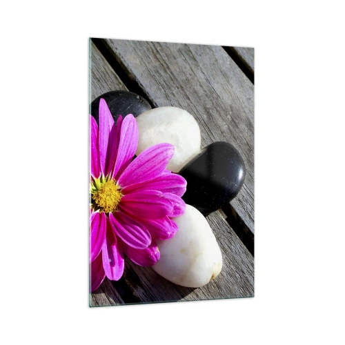 Impression sur verre - Image sur verre - Fleur rose sur un fond de planches de bois avec des pierres - 70x100cm - Repos sur la jetée - Décoration murale moderne pour le salon et la chambre ARTTOR