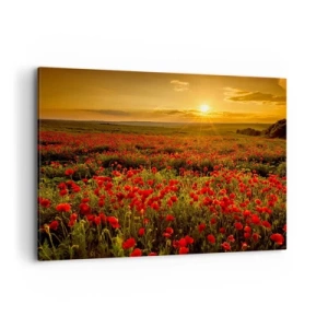 Impression sur toile - Image sur toile - Un champ de coquelicots rouges dans la lueur du soleil couchant - 100x70cm - Parmi les vagues des prairies bruissantes, parmi les fleurs du déluge - Décoration murale moderne pour le salon et la chambre ARTTOR